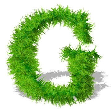 Conceptual green grass 3D font isoalted