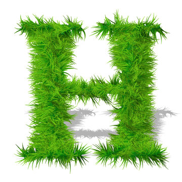 Conceptual green grass 3D font isoalted