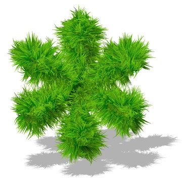 Conceptual green grass 3D font isoalted