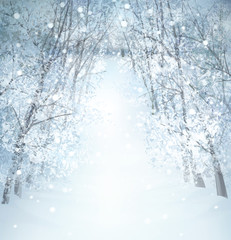 Wall Mural - winter wonderland landscape.