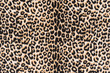 texture of leopard fabric striped