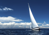Fototapeta Sawanna - Sailing in the wind through the waves.