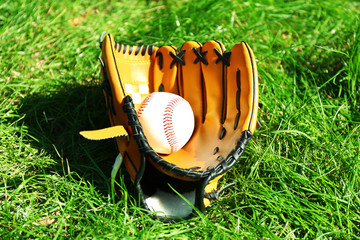 Wall Mural - Baseball bat, ball and glove on green grass background