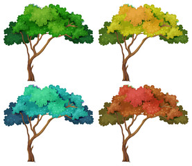 Wall Mural - tree