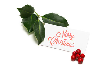 Wall Mural - christmas greetings