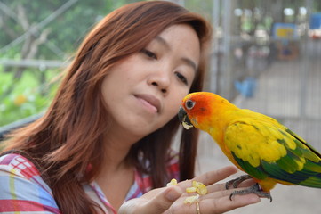 parrot feeding on girl hand