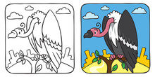 Funny Vulture Coloring Book