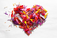 Heart Of The Concept Of Flower Petals On A White Background