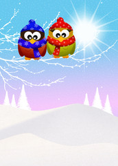 Wall Mural - Owls in winter