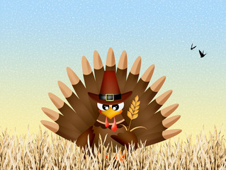 Wall Mural - turkey for thanksgiving day