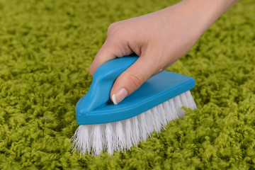 Wall Mural - Cleaning carpet with brush close up