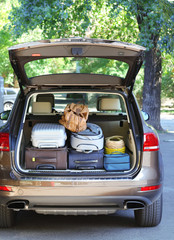 Wall Mural - Suitcases and bags in trunk of car ready to depart for holidays