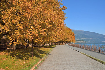 autumn in ioannina city greece