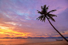 Palm Tree Silhouette On Sunset Tropical Beach.