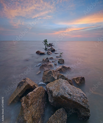 Naklejka na szybę Pantai Jeram