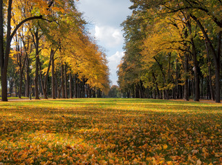 Beautiful  romantic alley in a park with colorful trees, autumn