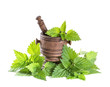 fresh nettle leaves with a mortar on a white background
