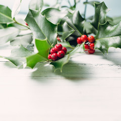Wall Mural - christmas holly