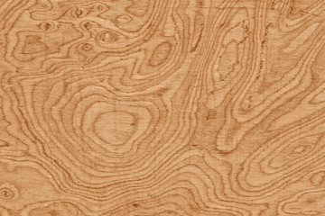 Poster - wood texture with natural pattern