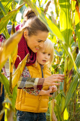 Wall Mural - Portrait of happy mother and child exploring cornfield