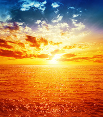 Wall Mural - good orange sunset over sea