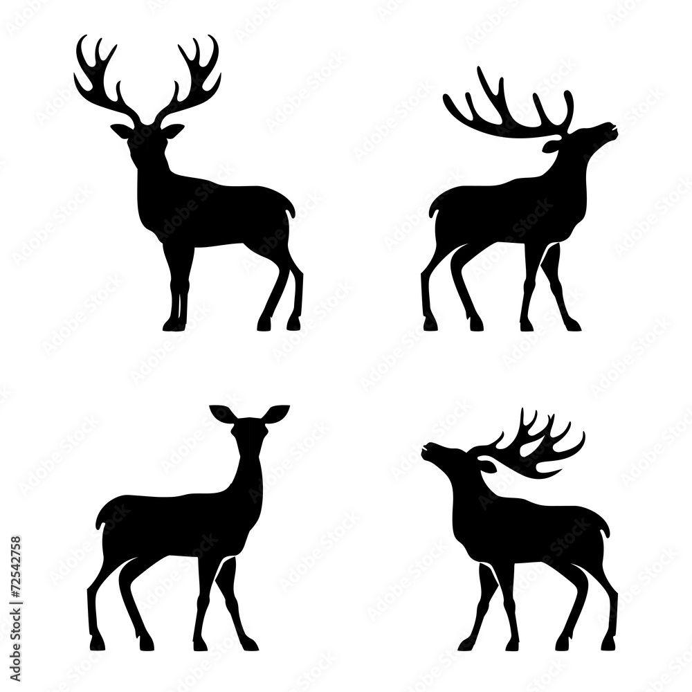 Deer collection - vector silhouette - obrazy, fototapety, plakaty 