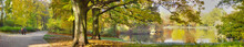 Autumnal Pond In Park