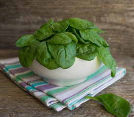 baby spinach in a white plate