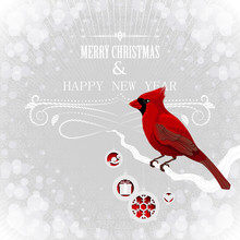 Christmas Card Wit Cardinal