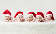 Babies With Santa Hats On Bright Background