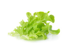 Green Leaves Lettuce Isolated On White Background
