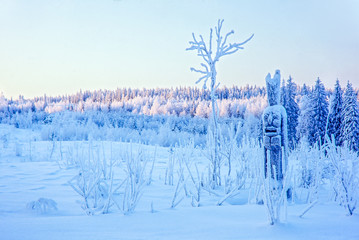 Wall Mural - forgotten totem
