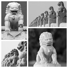 Chinese Lions Sculptures Collage, Beijing, China