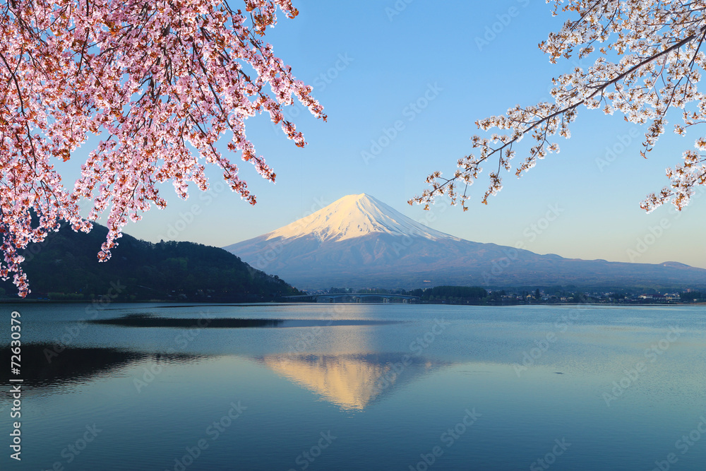Mount Fuji, view from Lake Kawaguchiko - obrazy, fototapety, plakaty 