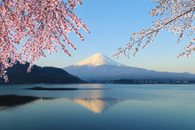 Mount Fuji, View From Lake Kawaguchiko