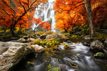 Waterfall In The Autumn