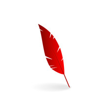 Red Feather Isolated On White Background