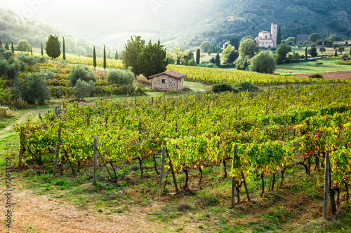 Beautiful view of the sunse...