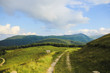 Idyllic landscape of a path on the mountain, with green grass and blue sky in Bucegi, Romania