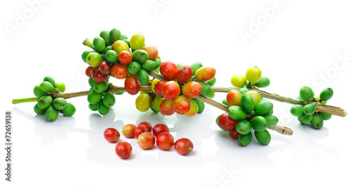 Fototapeta do kuchni coffee beans isolated on white background