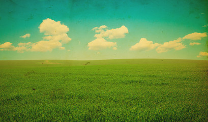Wall Mural - green field