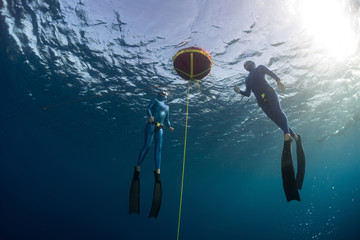 Freedivers