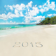 Wall Mural - New Year 2015 season concept on azure tropical sandy palm ocean