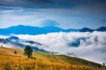Wall Mural - amazing mountain landscape with fog and a haystack