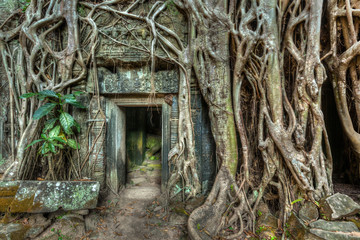 Fototapete - Ancient stone door and tree roots, Ta Prohm temple, Angkor
