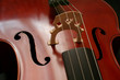 Wunderschönes Cello, Nahmaufnahme von Steg und Saiten, vor schwarzem Hintergrund