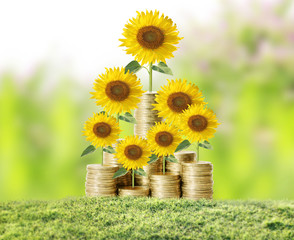 Flowers growing from money