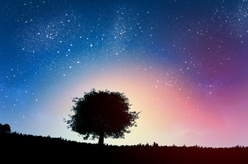 Wall Mural - natural landscape