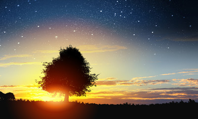Wall Mural - natural landscape