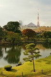 Fototapeta Paryż - 芝離宮庭園と東京タワー